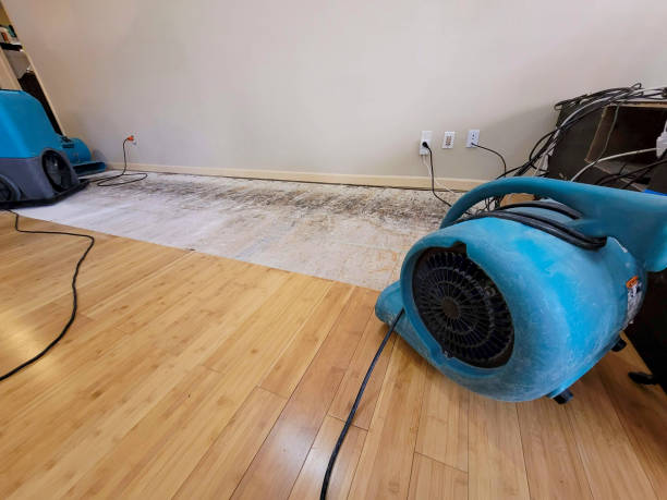 Professional Emergency Water Damage technician working in Martell, NE